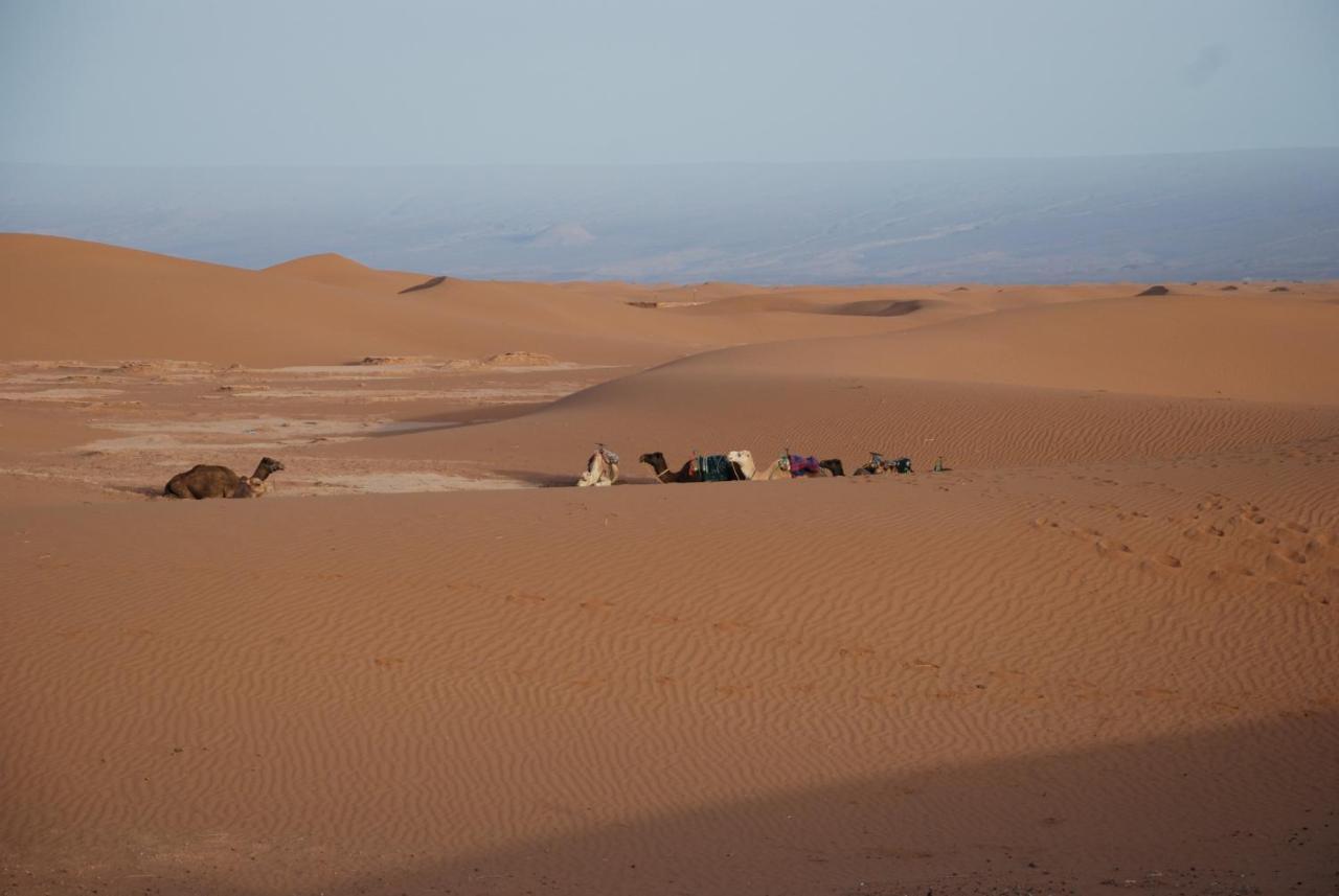Kasbah Les Alizes Du Desert M'Hamid Exterior photo